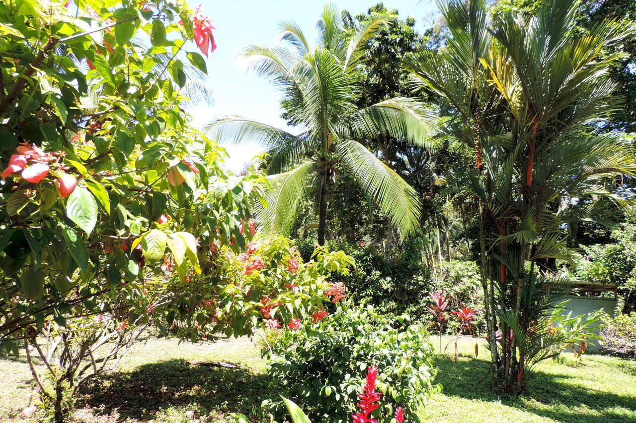 Rosa Lodge กาอุยตา ภายนอก รูปภาพ